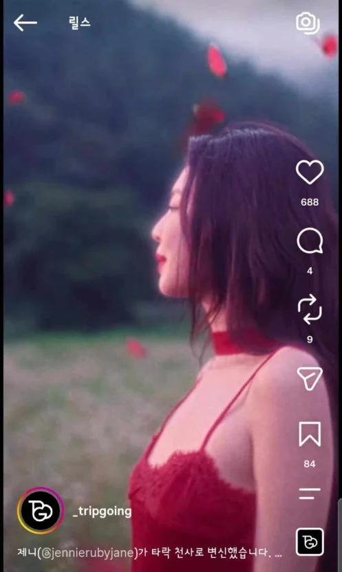 제니, 디지털 EP 'Fallen Angel' 공개 — 뮤직비디오의 파격적 비주얼과 확산 양상 정리 관련 이미지
