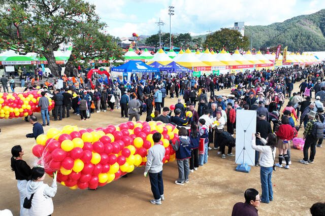 청송사과축제 온라인 방문객 224만 명 — 흥행 신호인가, 지역경제로 이어질까 관련 이미지