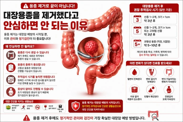 '채소가 대장 용종을 부추긴다' 보도 어떻게 읽을까: 원자료와 가공 방식별 차이 관련 이미지
