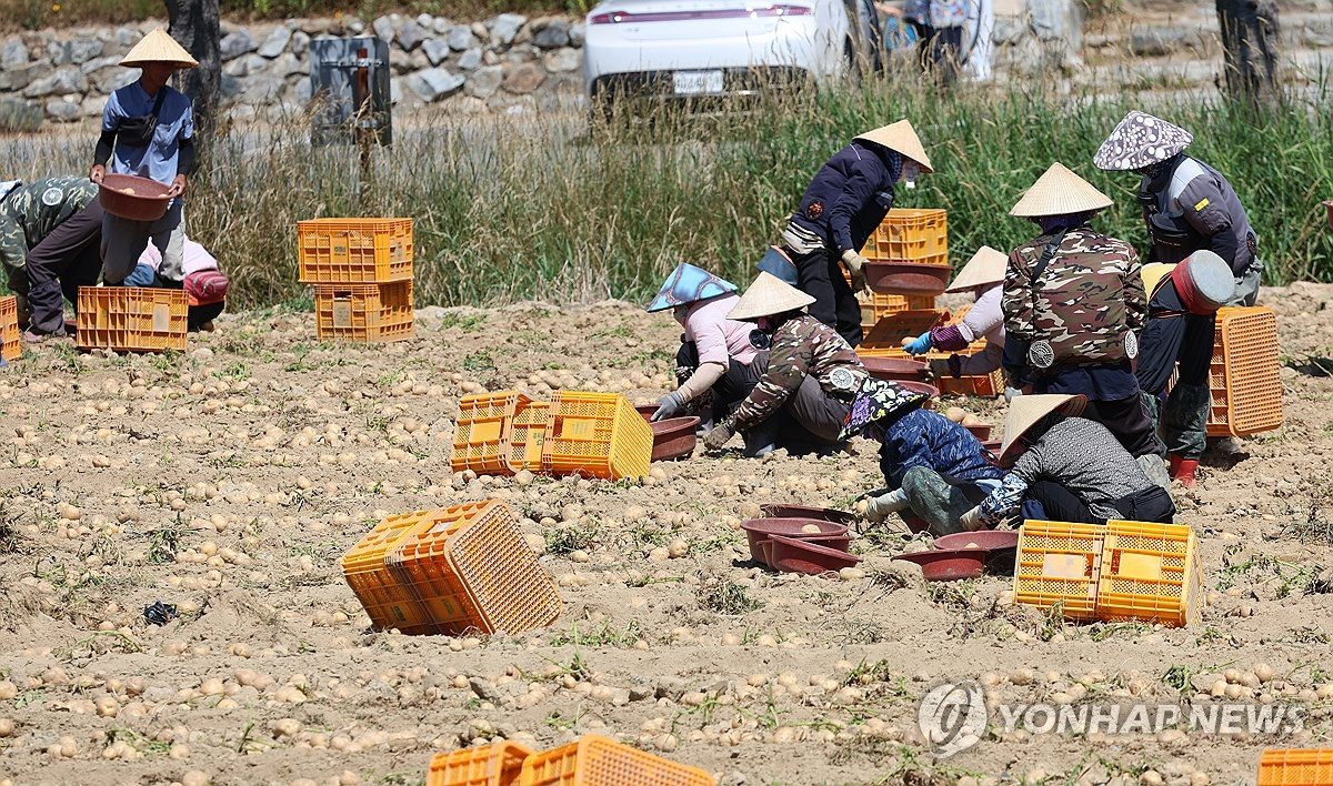 외국인 '추납'으로 불붙은 '중국인 국민연금' 논란과 李대통령 발언 정리 관련 실제 이미지